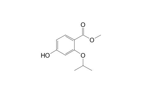 Methyl 4-hydroxy-2-isopropoxybenzoate