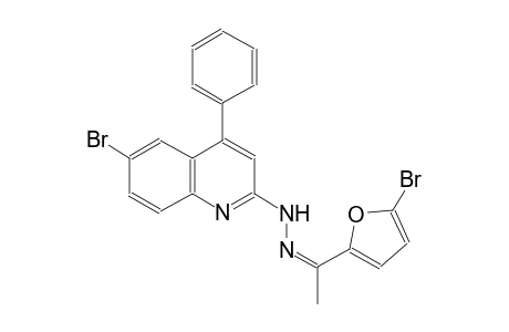 (1Z)-1-(5-bromo-2-furyl)ethanone (6-bromo-4-phenyl-2-quinolinyl)hydrazone