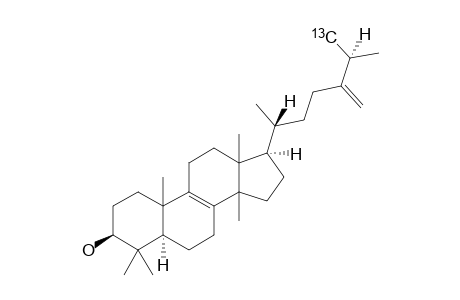 [27-(13)C]-24(28)-METHYLENE-24,25-DIHYDROLANOSTEROL