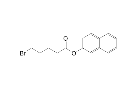 5-Bromovaleric acid, 2-naphthyl ester
