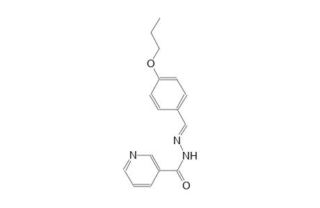 N'-[(E)-(4-propoxyphenyl)methylidene]nicotinohydrazide