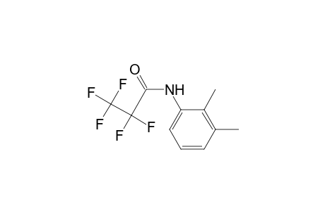 N-(2,3-dimethylphenyl)-2,2,3,3,3-pentafluoropropanamide