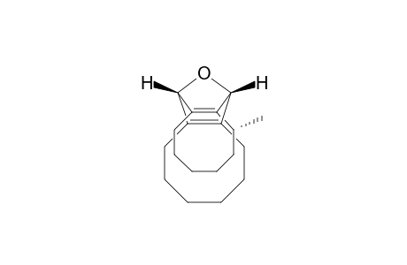 (1R*,3R*,10S*)-(+-)-3-methyl-19-oxatetracyclo[8.8.1.0(2,9).0(11,18)]nonadeca-2(9),11(18)-diene