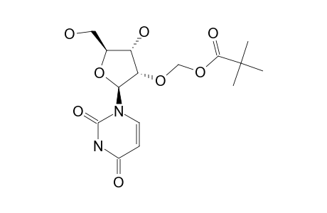 2'-O-PIVALOYLOXYMETHYL-URIDINE