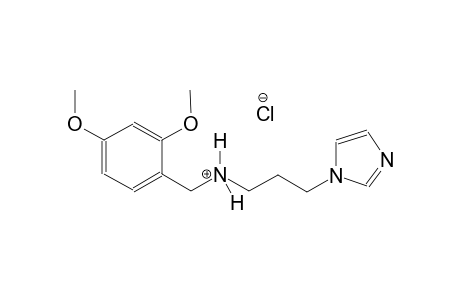 1H-imidazole-1-propanaminium, N-[(2,4-dimethoxyphenyl)methyl]-, chloride