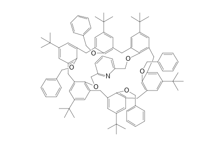5,11,17,23,29,35-Hexa(t-butyl)-37,38,40,41-tetrabenzyloxy-39,42-[(2',6'-pyridinediyl)-bis(methyleneoxy)]calix[6]arene