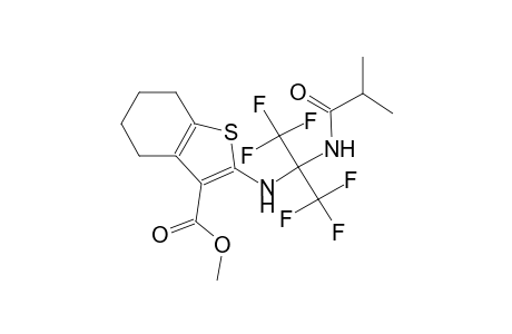 Methyl 2-([2,2,2-trifluoro-1-(isobutyrylamino)-1-(trifluoromethyl)ethyl]amino)-4,5,6,7-tetrahydro-1-benzothiophene-3-carboxylate