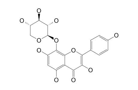 HERBACETIN-8-O-BETA-D-XYLOPYRANOSIDE