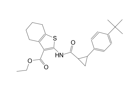 ethyl 2-({[2-(4-tert-butylphenyl)cyclopropyl]carbonyl}amino)-4,5,6,7-tetrahydro-1-benzothiophene-3-carboxylate