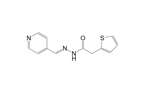 2-thiopheneacetic acid, 2-[(E)-4-pyridinylmethylidene]hydrazide