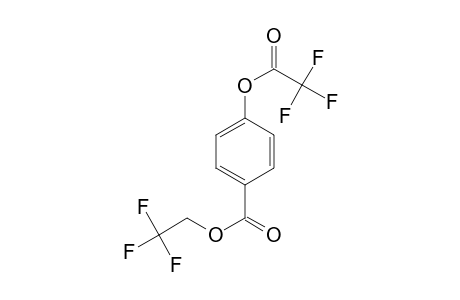 4-Hydroxybenzoic acid, 2,2,2-trifluoroethyl, tirfluoroacetate diester