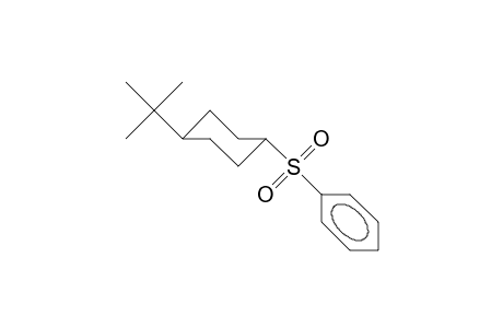 trans-4-tert-Butyl-cyclohexyl phenyl sulfone