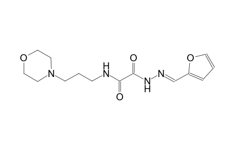 2-[(2E)-2-(2-furylmethylene)hydrazino]-N-[3-(4-morpholinyl)propyl]-2-oxoacetamide