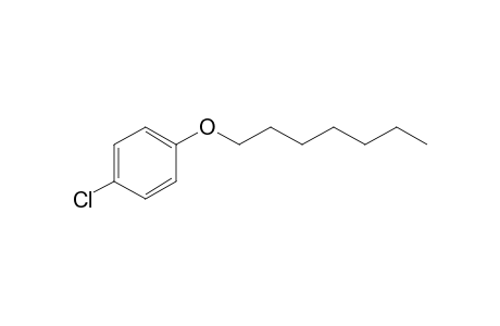 4-Chlorophenyl heptyl ether