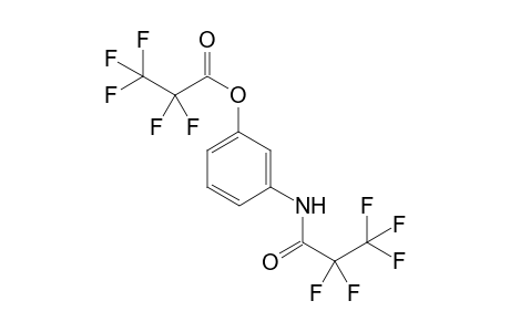 3-(2,2,3,3,3-pentafluoropropanamido)phenyl 2,2,3,3,3-pentafluoropropanoate