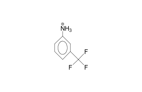 3-Trifluoromethyl-anilinium cation