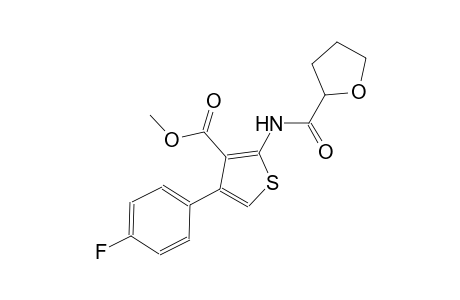 methyl 4-(4-fluorophenyl)-2-[(tetrahydro-2-furanylcarbonyl)amino]-3-thiophenecarboxylate