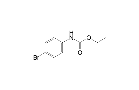 p-bromocarbanilic acid, ethyl ester