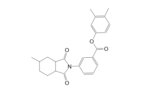 benzoic acid, 3-(octahydro-5-methyl-1,3-dioxo-2H-isoindol-2-yl)-, 3,4-dimethylphenyl ester