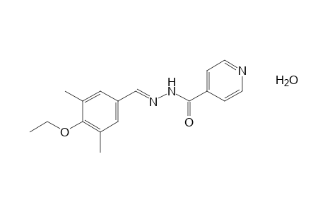 isonicotinic acid, (3,5-dimethyl-4-ethoxybenzylidene)hydrazide, monohydrate