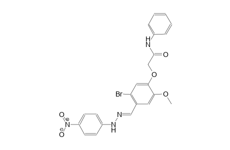 2-(5-bromo-2-methoxy-4-{(E)-[(4-nitrophenyl)hydrazono]methyl}phenoxy)-N-phenylacetamide