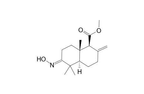 (1S,4aR,6E,8aS)-6-hydroximino-5,5,8a-trimethyl-2-methylene-decalin-1-carboxylic acid methyl ester