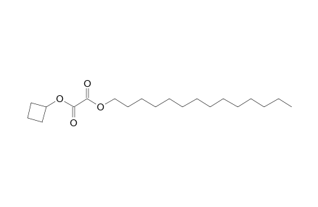 Oxalic acid, cyclobutyl tetradecyl ester