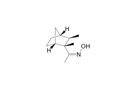 endo-1-(2,3-Dimethylbicyclo[2.2.1]hept-2-yl)ethanone Oxime
