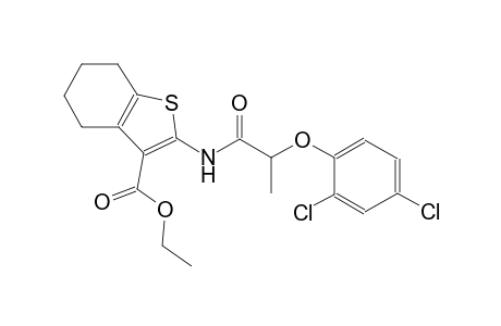 ethyl 2-{[2-(2,4-dichlorophenoxy)propanoyl]amino}-4,5,6,7-tetrahydro-1-benzothiophene-3-carboxylate