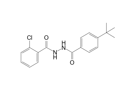 1-(p-tert-butylbenzoyl)-2-(o-chlorobenzoyl)hydrazine