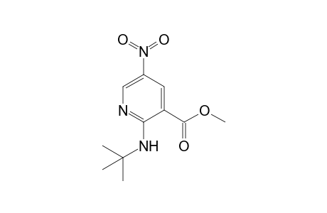 2-(t-Butylamino)-3-(methoxycarbonyl)-5-nitropyridine