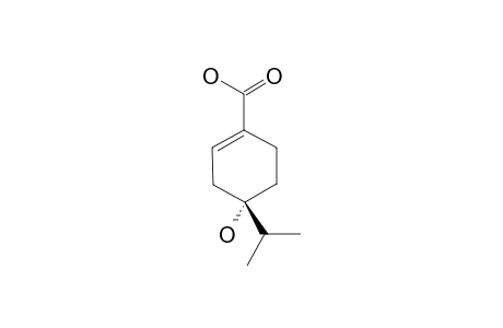 (+)-(4R)-4-HYDROXY-4-ISOPROPYL-CYCLOHEX-1-ENE-CARBOXYLIC-ACID