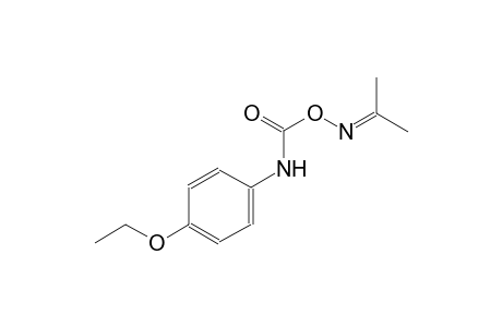 1-ethoxy-4-[({[(1-methylethylidene)amino]oxy}carbonyl)amino]benzene