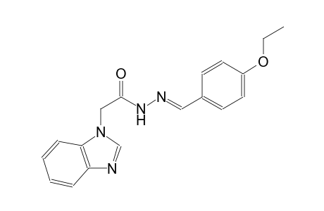 1H-benzimidazole-1-acetic acid, 2-[(E)-(4-ethoxyphenyl)methylidene]hydrazide