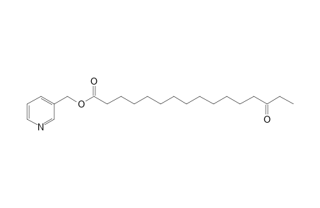 Picolinyl 14-oxo-hexadecanoate