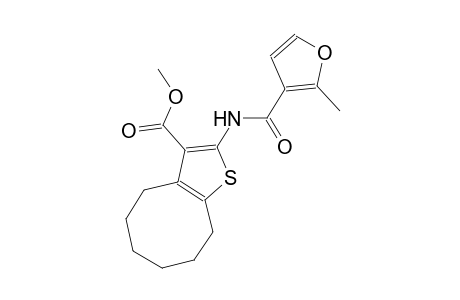 methyl 2-[(2-methyl-3-furoyl)amino]-4,5,6,7,8,9-hexahydrocycloocta[b]thiophene-3-carboxylate