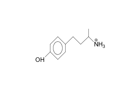 A-Methyl-4-hydroxy-benzenepropanamine cation