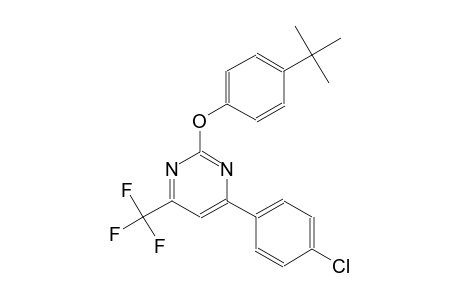 4-tert-butylphenyl 4-(4-chlorophenyl)-6-(trifluoromethyl)-2-pyrimidinyl ether