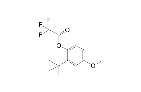 2-(Tert-butyl)-4-methoxyphenyl 2,2,2-trifluoroacetate