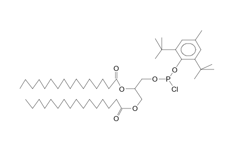 (1,2-DIPALMITOYL-RAC-GLYCERO-3)(4-METHYL-2,6-DI-TERT-BUTYLPHENYL)CHLOROPHOSPHITE (DIASTEREOMER MIXTURE)