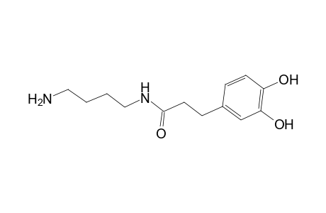 Benzenepropanamide, N-(4-aminobutyl)-3,4-dihydroxy-