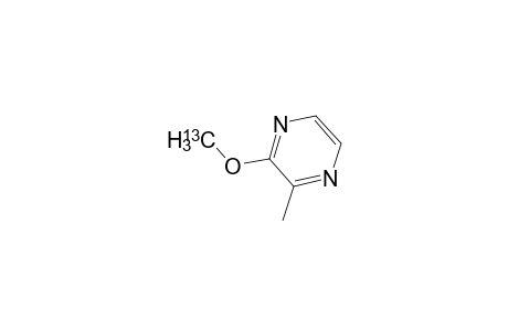 2-Methoxy-13C-3-methylpyrazine