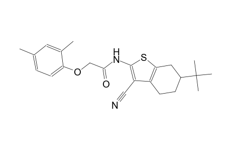 N-(6-tert-butyl-3-cyano-4,5,6,7-tetrahydro-1-benzothien-2-yl)-2-(2,4-dimethylphenoxy)acetamide