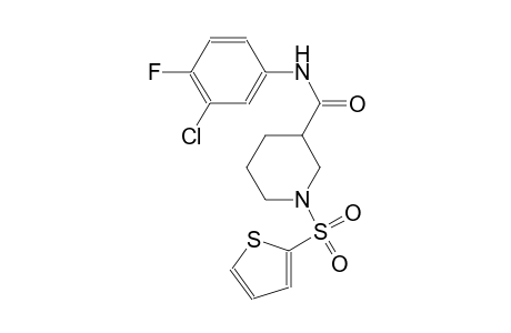 N-(3-chloro-4-fluorophenyl)-1-(2-thienylsulfonyl)-3-piperidinecarboxamide