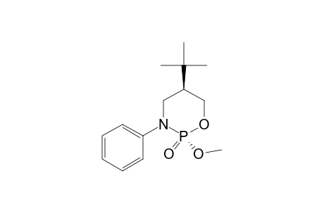 trans-2-Methoxy-2-oxo-3-phenyl-5-tert-butyl-1,3,2-oxazaphosphorinane