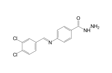 p-[(3,4-dichlorobenzylidene)amino]benzoic acid, hydrazide