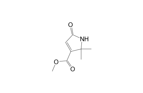 2,2-Dimethyl-5-oxo-1H-pyrrole-3-carboxylic acid methyl ester