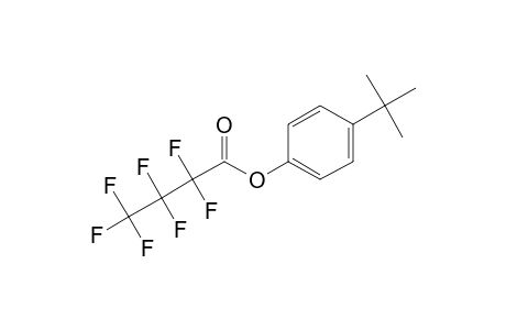 4-Tert-butylphenol, o-heptafluorobutyryl-