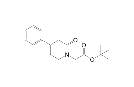 2-(2-keto-4-phenyl-piperidino)acetic acid tert-butyl ester