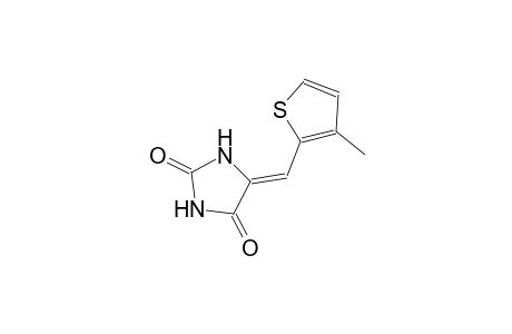 (5Z)-5-[(3-methyl-2-thienyl)methylene]-2,4-imidazolidinedione